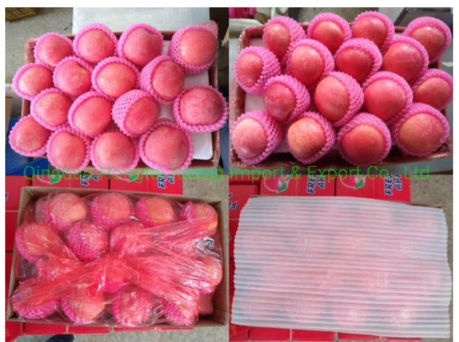 China Fresh Apple Fruit Sweet FUJI Apple with Factory Price