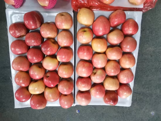 천연 사과 과일, 중국산 신선한 빨간색 FUJI 대량 신선한 사과 과일