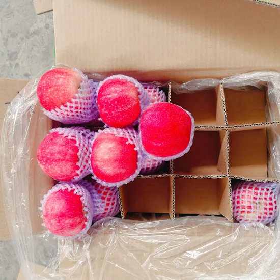 새로운 수확, 신선한 과일, 중국산 신선한 후지 사과